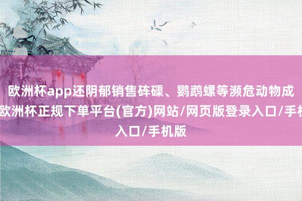 欧洲杯app还阴郁销售砗磲、鹦鹉螺等濒危动物成品-欧洲杯正规下单平台(官方)网站/网页版登录入口/手机版