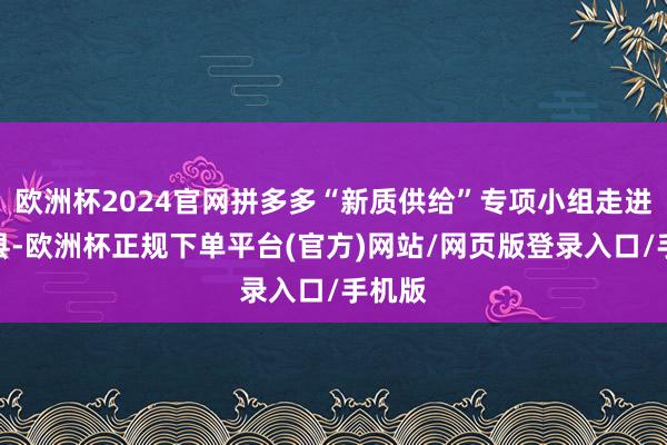 欧洲杯2024官网拼多多“新质供给”专项小组走进德庆县-欧洲杯正规下单平台(官方)网站/网页版登录入口/手机版