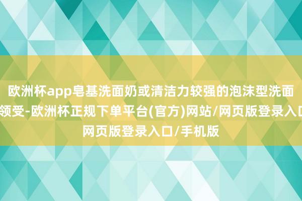 欧洲杯app皂基洗面奶或清洁力较强的泡沫型洗面奶可行为领受-欧洲杯正规下单平台(官方)网站/网页版登录入口/手机版