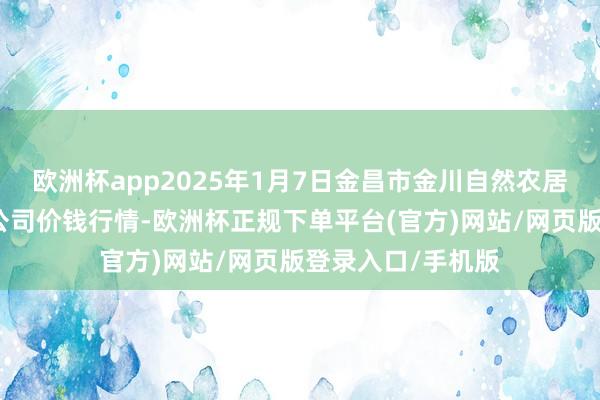 欧洲杯app2025年1月7日金昌市金川自然农居品发展有限牵涉公司价钱行情-欧洲杯正规下单平台(官方)网站/网页版登录入口/手机版
