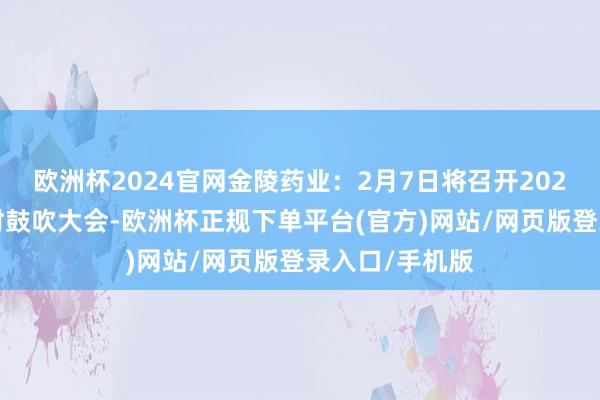 欧洲杯2024官网金陵药业：2月7日将召开2025年第一次临时鼓吹大会-欧洲杯正规下单平台(官方)网站/网页版登录入口/手机版