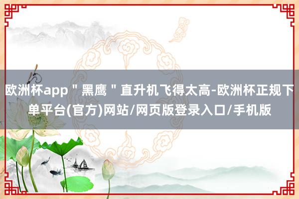 欧洲杯app＂黑鹰＂直升机飞得太高-欧洲杯正规下单平台(官方)网站/网页版登录入口/手机版