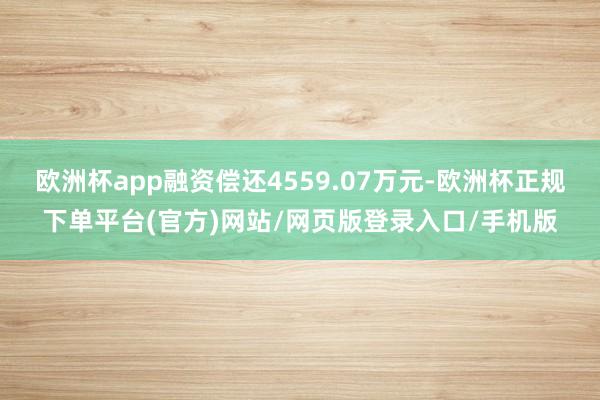 欧洲杯app融资偿还4559.07万元-欧洲杯正规下单平台(官方)网站/网页版登录入口/手机版