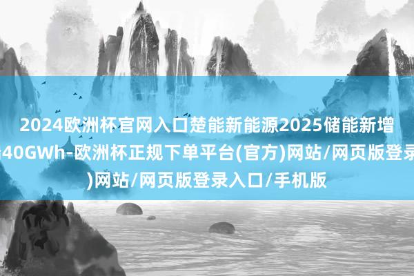 2024欧洲杯官网入口楚能新能源2025储能新增订单还是极端40GWh-欧洲杯正规下单平台(官方)网站/网页版登录入口/手机版