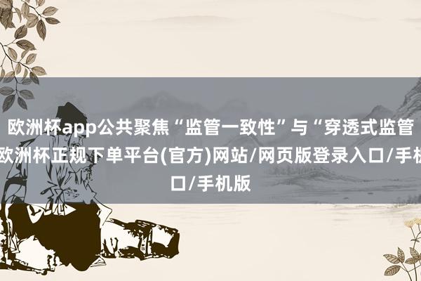 欧洲杯app公共聚焦“监管一致性”与“穿透式监管”-欧洲杯正规下单平台(官方)网站/网页版登录入口/手机版