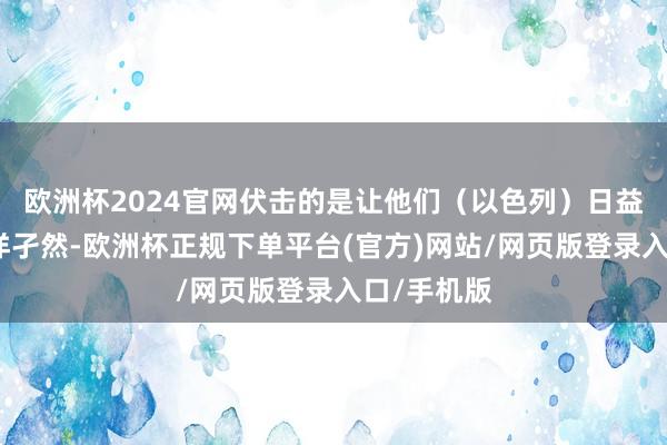 欧洲杯2024官网伏击的是让他们(以色列)日益感受到外洋孑然-欧洲杯正规下单平台(官方)网站/网页版登录入口/手机版