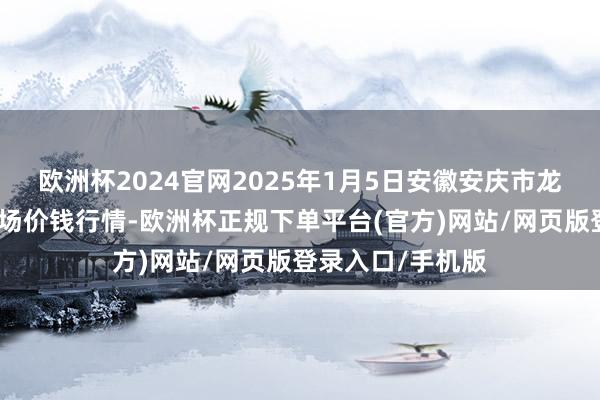 欧洲杯2024官网2025年1月5日安徽安庆市龙狮桥蔬菜批发商场价钱行情-欧洲杯正规下单平台(官方)网站/网页版登录入口/手机版