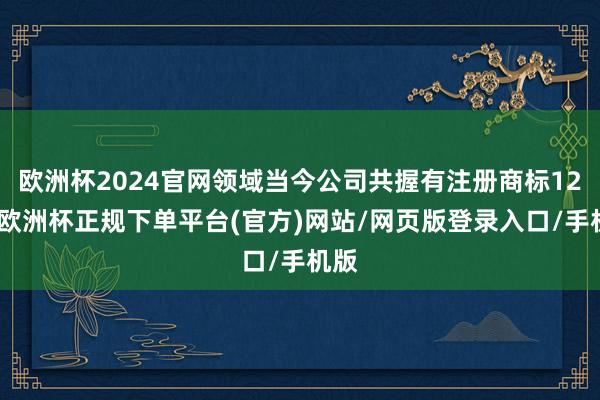 欧洲杯2024官网领域当今公司共握有注册商标12件-欧洲杯正规下单平台(官方)网站/网页版登录入口/手机版