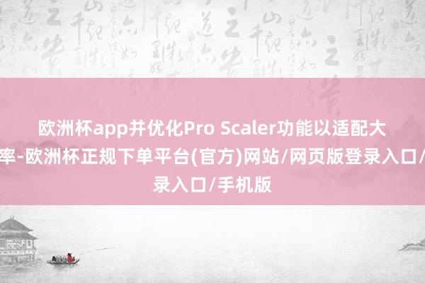 欧洲杯app并优化Pro Scaler功能以适配大屏阔别率-欧洲杯正规下单平台(官方)网站/网页版登录入口/手机版