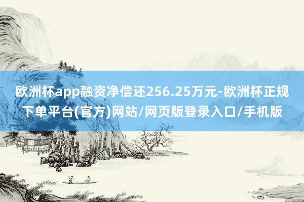 欧洲杯app融资净偿还256.25万元-欧洲杯正规下单平台(官方)网站/网页版登录入口/手机版